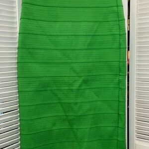 New York & Company Emerald Pencil Skirt